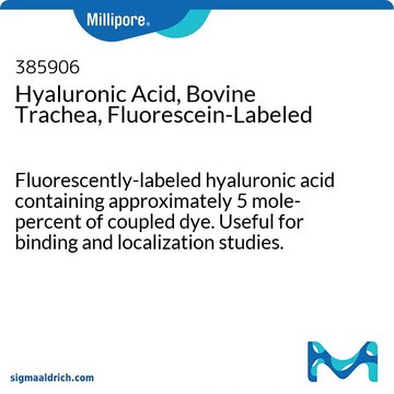 透明质酸，牛气管，荧光素标记 Fluorescently-labeled hyaluronic acid containing approximately 5 mole-percent of coupled dye. Useful for binding and localization studies.