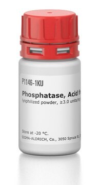 Phosphatase, acide from potato lyophilized powder, &#8805;3.0&#160;units/mg solid