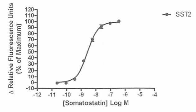 Gotowe do testów mrożone komórki receptora rodziny somatostatyny sst2 Human sst2 GPCR frozen cells for Calcium Flux FLIPR Assays.