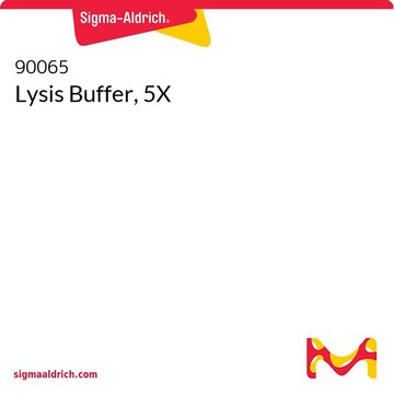 Lysis Buffer, 5X