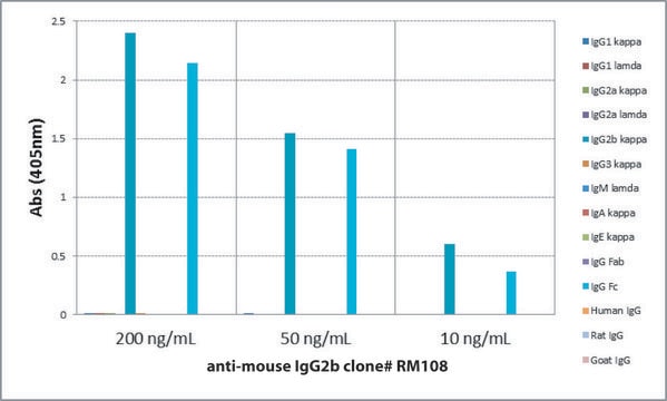 Anti-Mouse IgG2b-Biotin antibody, Rabbit monoclonal recombinant, expressed in HEK 293 cells, clone RM108, purified immunoglobulin