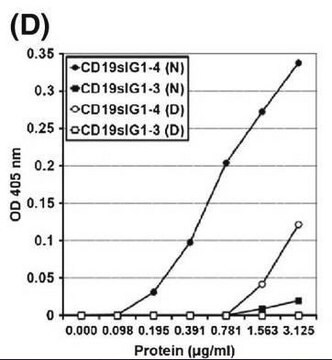 Anticuerpo anti-células B humanas (CD19), clon FMC63 clone FMC63, Chemicon&#174;, from mouse