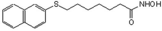 Histone Deacetylase Inhibitor VI, HNHA The Histone Deacetylase Inhibitor VI, HNHA, also referenced under CAS 926908-04-5, controls the biological activity of Histone Deacetylase.