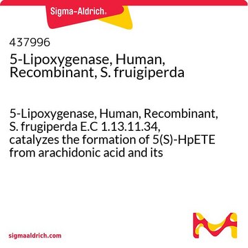 5-Lipoxygenase, Human, Recombinant, S. fruigiperda 5-Lipoxygenase, Human, Recombinant, S. frugiperda E.C 1.13.11.34, catalyzes the formation of 5(S)-HpETE from arachidonic acid and its subsequent conversion to leukotriene A4.