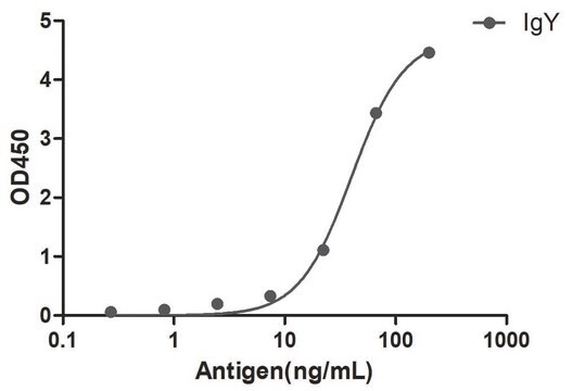 Goat Anti-Chicken IgY HRP Alpaca Heavy chain only Antibody recombinant Alpaca(VHH) Nano antibody