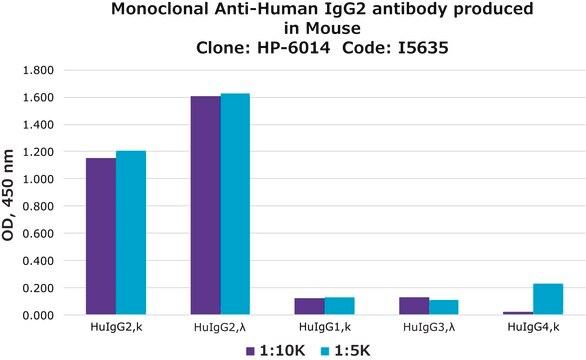 Monoclonal Anti-Human IgG2 antibody produced in mouse clone HP-6014, ascites fluid