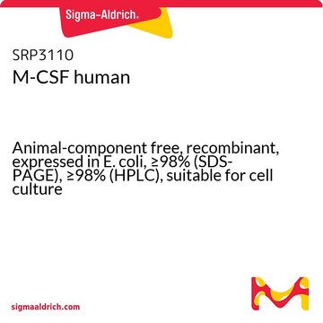 M-CSF ヒト Animal-component free, recombinant, expressed in E. coli, &#8805;98% (SDS-PAGE), &#8805;98% (HPLC), suitable for cell culture