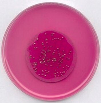 m-ENDO-Agar LES suitable for microbiology, NutriSelect&#174; Plus