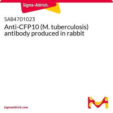 Anti-CFP10 (M. tuberculosis) antibody produced in rabbit