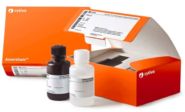 ECL&#8482; Select Western-Blot-Detektionsreagenz Cytiva RPN2235