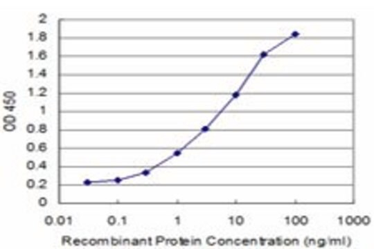 ANTI-BMP5 antibody produced in mouse clone 4B3, purified immunoglobulin, buffered aqueous solution