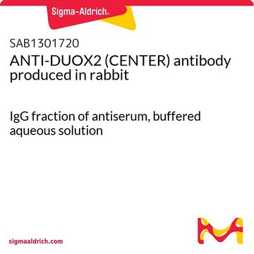 ANTI-DUOX2 (CENTER) antibody produced in rabbit IgG fraction of antiserum, buffered aqueous solution