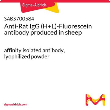 Anti-Rat IgG (H+L)-Fluorescein antibody produced in sheep affinity isolated antibody, lyophilized powder