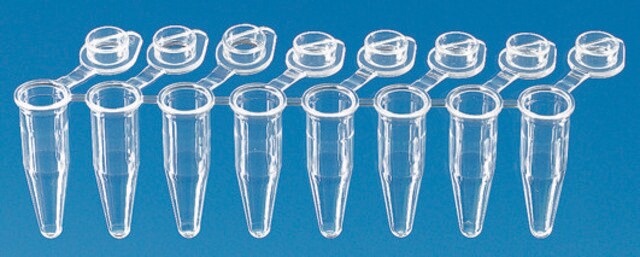 BRAND&#174; PCR-Röhrchen, Streifen zu je 8&nbsp;Stück attached transparent single caps, standard profile, capacity 0.2&#160;mL, white wells