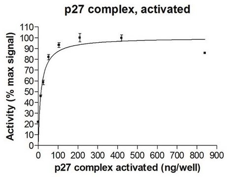 Kompleks białkowy p27, aktywowany, 10 µg Activated complex of three (3) full length, recombinant human proteins: p27, Cyclin E1, &amp; CDK2. Phosphorylated in vitro using CDK2/Cyclin E1. For use in Enzyme Assays. Behaves as a substrate in ubiquitin assays.