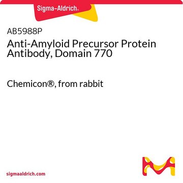 Anti-Amyloid Precursor Protein Antibody, Domain 770 Chemicon&#174;, from rabbit