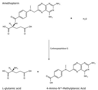 Carboxypeptidase&#160;G from Pseudomonas sp. lyophilized powder, &#8805;3&#160;units/mg protein