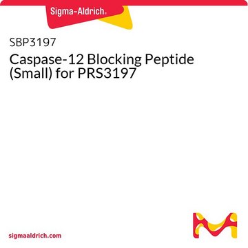 Caspase-12 Blocking Peptide (Small) for PRS3197