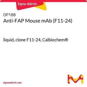 Anti-FAP Mouse mAb (F11-24) liquid, clone F11-24, Calbiochem&#174;