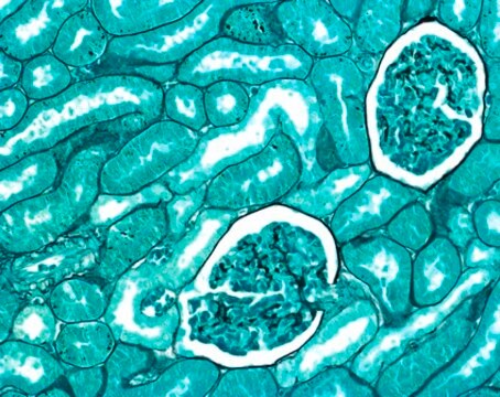 Entellan&#8482; Néo rapid mounting medium for microscopy