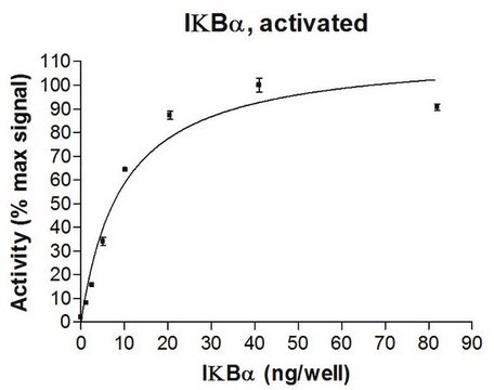 Białko IkBa, aktywowane, 10 µg Activated, full length, recombinant human I&#954;B&#945;. N-terminal c-Myc, 6His-tagged. Phosphorylated in vitro using IKK&#945;, active. For use in Enzyme Assays. Behaves as a substrate in ubiquitin assays.