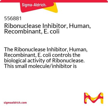 Ribonuclease Inhibitor, Human, Recombinant, E. coli The Ribonuclease Inhibitor, Human, Recombinant, E. coli controls the biological activity of Ribonuclease. This small molecule/inhibitor is primarily used for Protease Inhibitors applications.