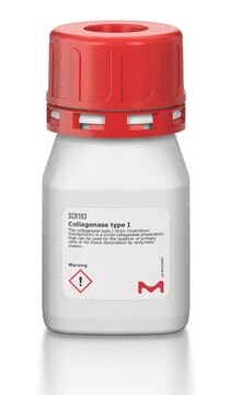 Colagenasa de tipo I The collagenase type I (from Clostridium histolyticum) is a crude collagenase preparation that can be used for the isolation of primary cells or for tissue dissociation by enzymatic means.