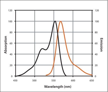 Anti-Goat IgG (H+L), highly cross-adsorbed, CF&#8482; 555 antibody produced in donkey ~2&#160;mg/mL, affinity isolated antibody