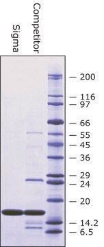 スーパーオキシドジムスターゼ ウシ赤血球由来 BioUltra, lyophilized powder, &#8805;4,500&#160;units/mg protein, &#8805;97% (SDS-PAGE)