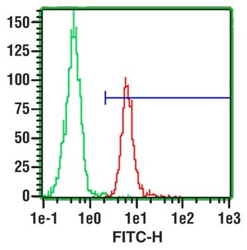 Anti- CD31单克隆抗体 clone WM-59, purified immunoglobulin, buffered aqueous solution