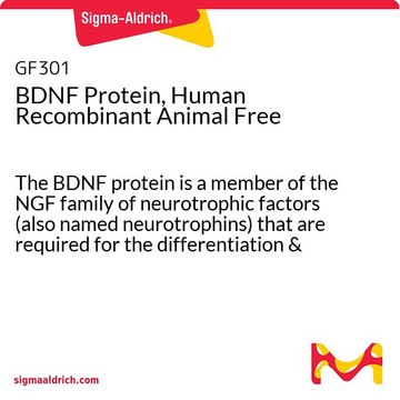 Proteína BDNF recombinante humana, sin productos de origen animal The BDNF protein is a member of the NGF family of neurotrophic factors (also named neurotrophins) that are required for the differentiation &amp; survival of specific neuronal subpopulations in both the central as well as the peripheral nervous system.