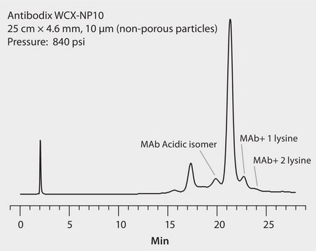 Analiza HPLC przeciwciał monoklonalnych (mAb) z wariancją ładunku na 7688 WCX-NP10 application for HPLC