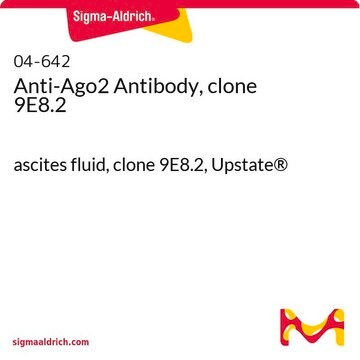 Anti-Ago2 Antibody, clone 9E8.2 ascites fluid, clone 9E8.2, Upstate&#174;