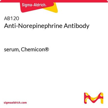 Anti-Norepinephrine Antibody serum, Chemicon&#174;