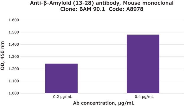 抗-&#946;-アミロイド（13-28）抗体、マウスモノクローナル clone BAM90.1, purified from hybridoma cell culture