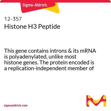 ヒストンH3ペプチド This gene contains introns &amp; its mRNA is polyadenylated, unlike most histone genes. The protein encoded is a replication-independent member of the histone H3 family.