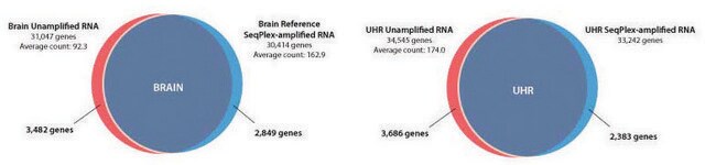 SeqPlex RNA増幅キット For use with high throughput sequencing technologies