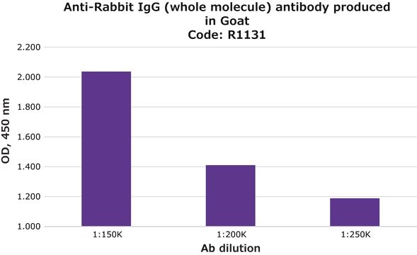 Anti-Kaninchen-IgG (Gesamtmolekül) whole antiserum