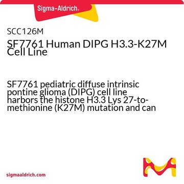 SF7761 Human DIPG H3.3-K27M Cell Line SF7761 pediatric diffuse intrinsic pontine glioma (DIPG) cell line harbors the histone H3.3 Lys 27-to-methionine (K27M) mutation and can support research and drug development efforts targeting DIPG.