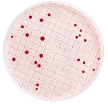 Milliflex&#174; Pre-filled Media Cassettes KF Streptococcus Agar, for fecal bacteria: Streptococcus spp., pack of 48&#160;tests, suitable for bioburden testing