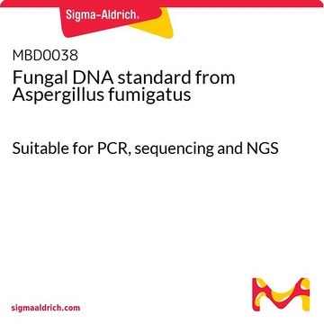 Fungal DNA standard from Aspergillus fumigatus Suitable for PCR, sequencing and NGS