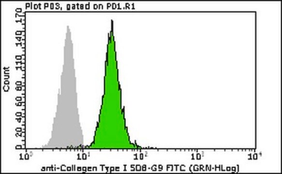 Anticorpo anti-collagene di tipo I-FITC Milli-Mark&#174;, clone 5D8-G9 clone 5D8-G9, Milli-Mark&#174;, from mouse