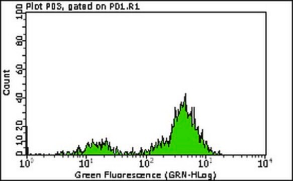 Milli-Mark&#174; Anti-CD5-FITC Antibody, clone DK23 clone DK23, Milli-Mark&#174;, from mouse