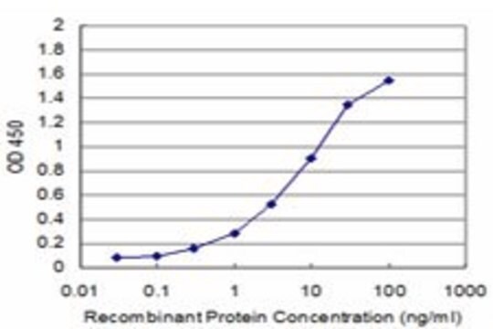 Monoclonal Anti-CENPA antibody produced in mouse clone 1D4-1A3, purified immunoglobulin, buffered aqueous solution