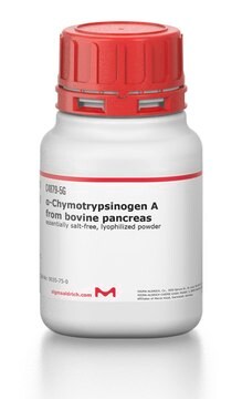 &#945;-Chymotrypsinogen A from bovine pancreas essentially salt-free, lyophilized powder