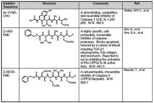 Zestaw inhibitorów kaspaz I The Caspase Inhibitor Set I controls the biological activity of Caspase-1. This collection of small molecule/inhibitor is primarily used for Cancer applications.