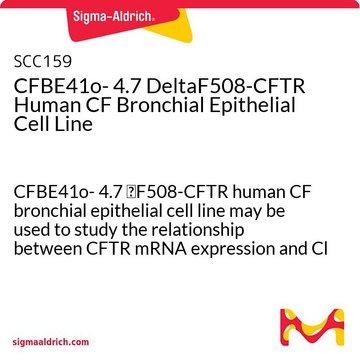 CFBE41o- 4.7 DeltaF508-CFTR Human CF Bronchial Epithelial Cell Line CFBE41o- 4.7 &#916;F508-CFTR human CF bronchial epithelial cell line may be used to study the relationship between CFTR mRNA expression and Cl transport function.