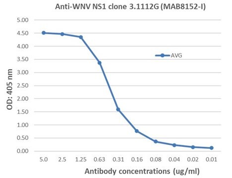 Anti-West Nile Virus/Kunjin Antibody, NS1 Antibody, clone 3.1112G