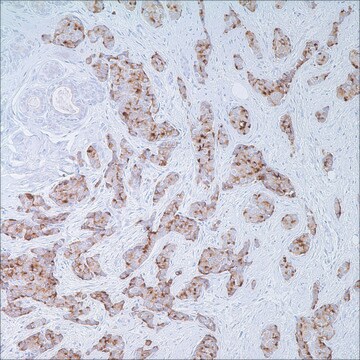 EMA (E29) Mouse Monoclonal Antibody