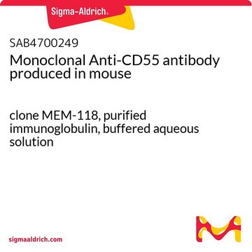 Monoclonal Anti-CD55 antibody produced in mouse clone MEM-118, purified immunoglobulin, buffered aqueous solution